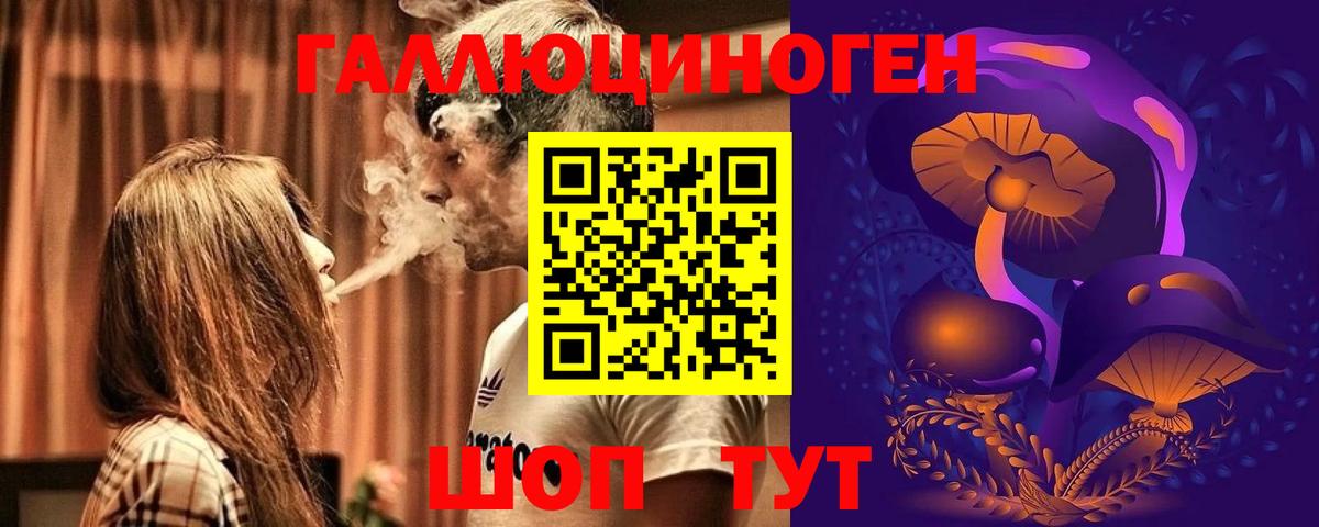 как найти закладки  Псилоцибиновые грибы Psilocybine cubensis  Вход с VPN  Псилоцибиновые грибы GOLDEN TEACHER  Екатеринбург 